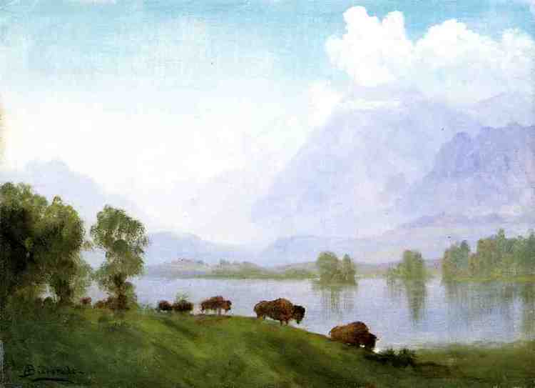 Albert Bierstadt Oil Painting Buffalo Country